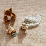 Forest Friends Baby Comforter Gift Box